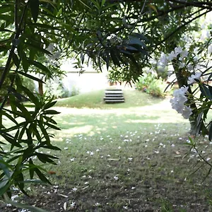 Le Rondinelle Appartement